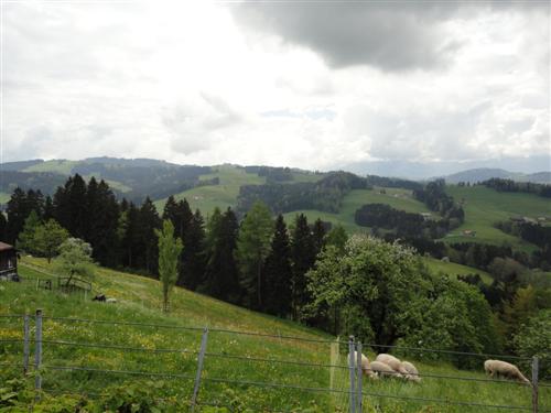 fmz 01.05.2011