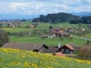 fmz20080501_10