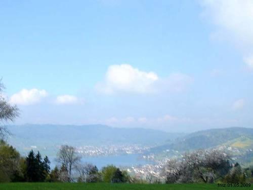 fmz 1.5.2009