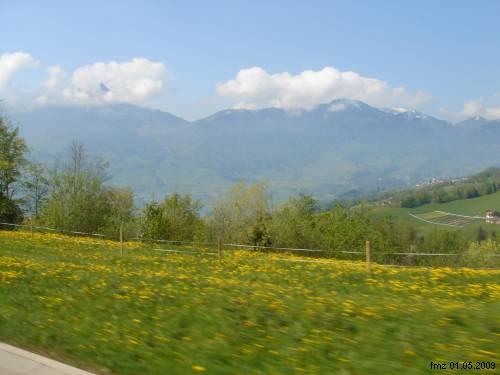 fmz 1.5.2009
