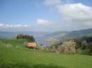 fmz 1.5.2009