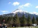 fmz 1.5.2009