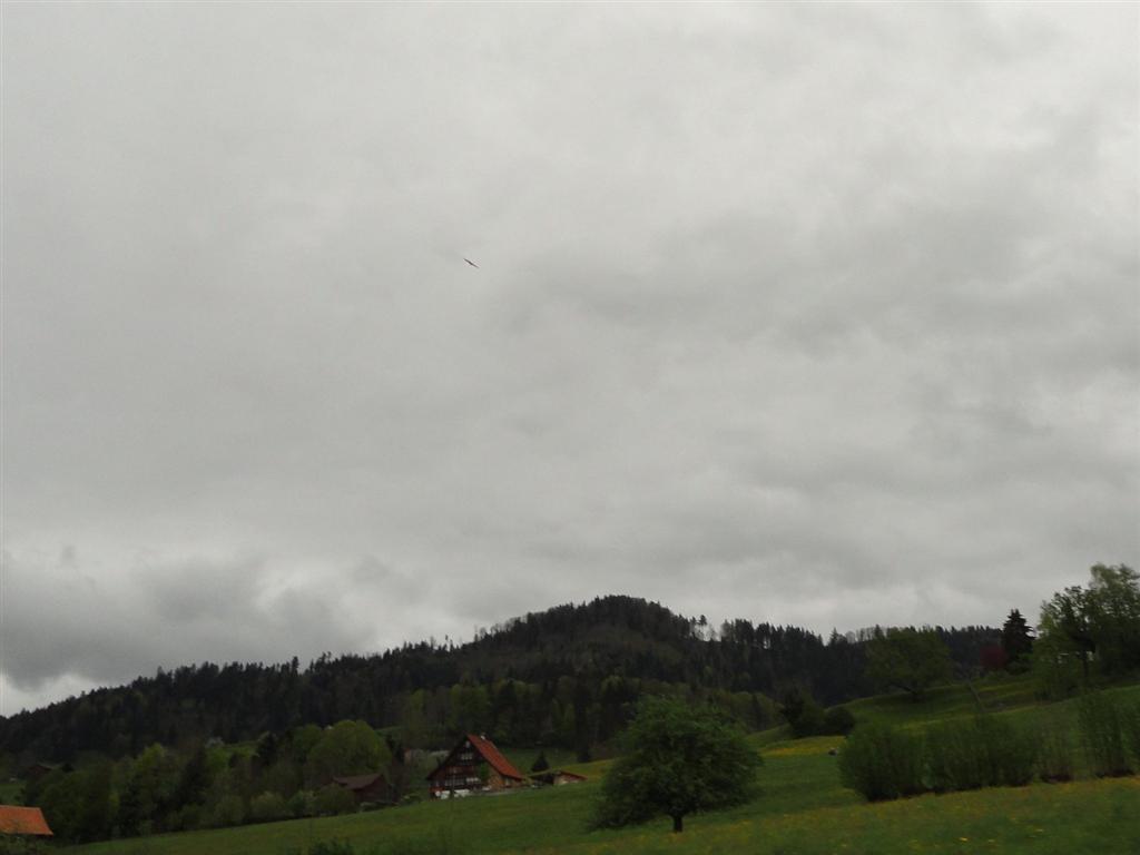 fmz 1.5.2012