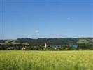 fmz 23.06.2012