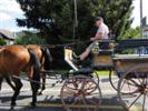 fmz 23.06.2012