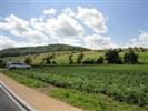 fmz 23.06.2012