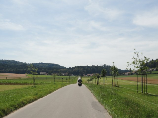 fmz 19.7.2014