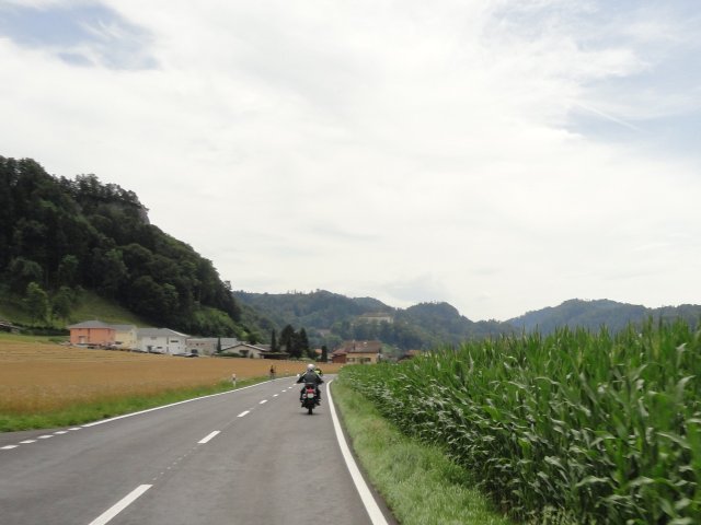 fmz 19.7.2014