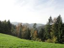 fmz 12.10.2014