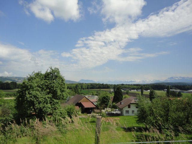 fmz 28.05.2016
